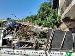 Best Demolition Debris Removal  in Rice, TX